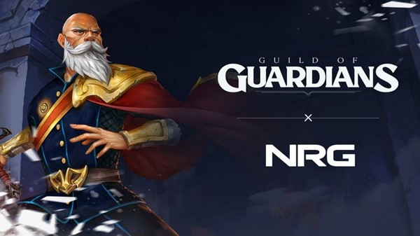 cover-guild-of-the-guardians-immutable-nrg-esports